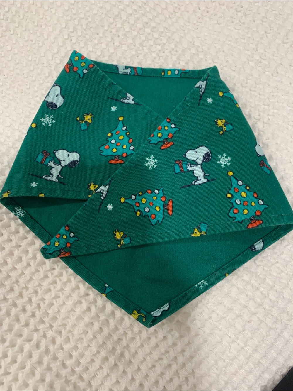 Cute doggie bandana featuring Snoopy!